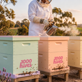 Sponsor a Hive
