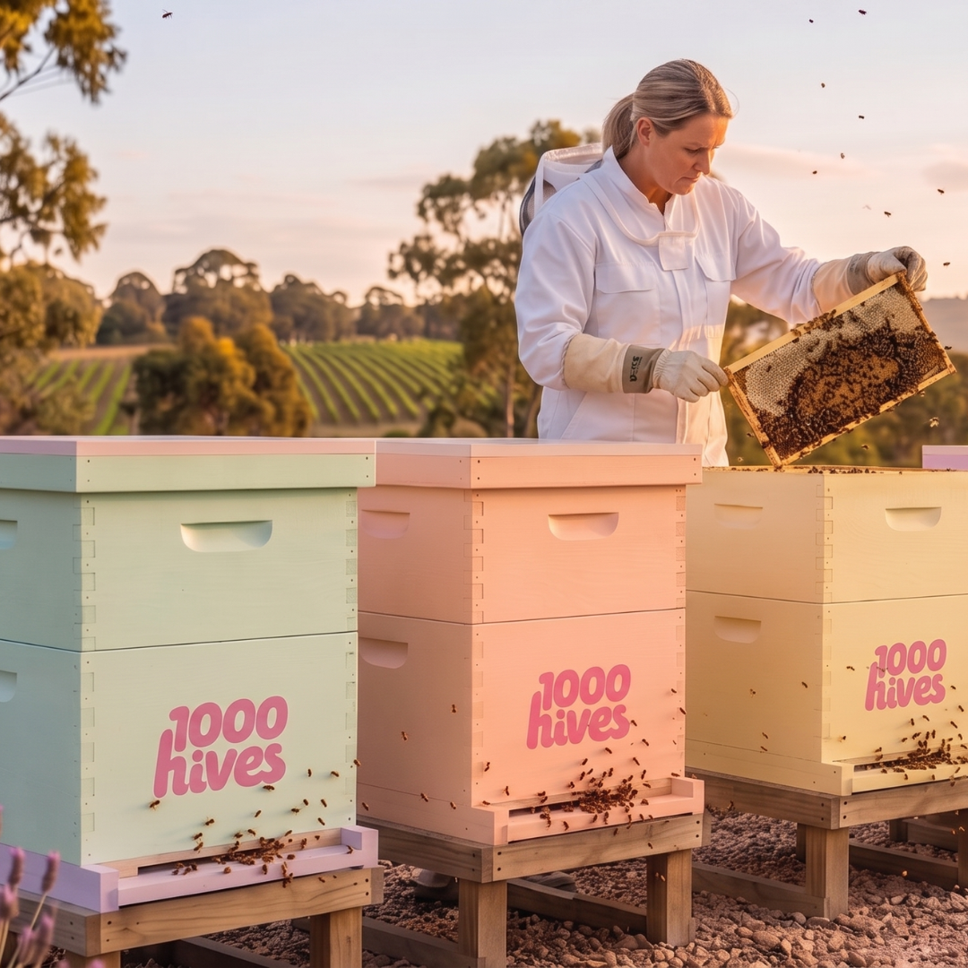 Fund a Hive